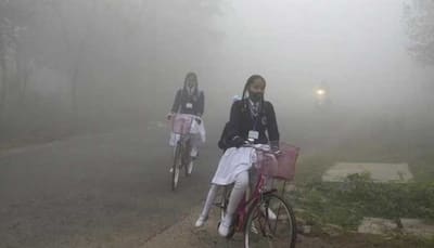 Delhi School Holidays News: Winter Vacation Extended Today? Check What Government Said