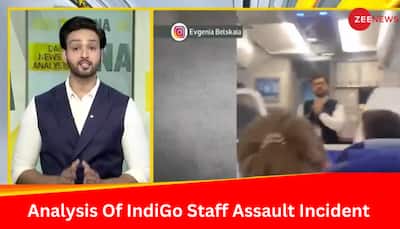 DNA Exclusive: Analysis Of IndiGo Flight Captain Assault Incident And What Led To It