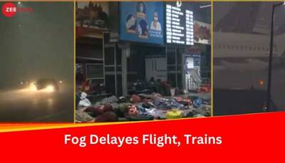 Dense Fog Spurs Travel Woes In Delhi, Around 30 Flights And Trains Delayed