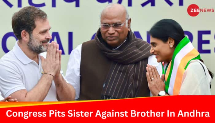 Congress Pitches Sister Against Brother In Andhra Pradesh, Picks YS Sharmila As State Chief