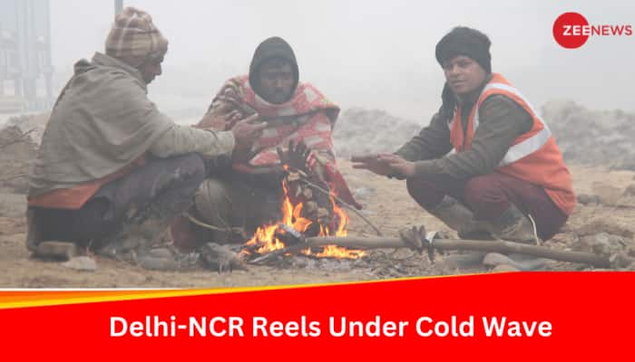 Weather Update: Delhi NCR Reels Under Cold Wave, Dense Fog, Orange Alert Issued
