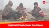 Weather Update: Delhi NCR Reels Under Cold Wave, Dense Fog, Orange Alert Issued