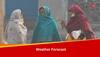 Weather Update: Red Alert For North India, IMD Predicts Cold Day, Dense Fog For Next 5 Days