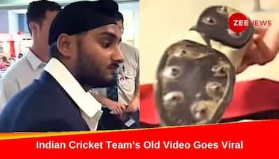 WATCH: Harbhajan Singh, Sourav Ganguly Fined $400 For Dirty Shoes At New Zealand Airport, Old Video From 2002 Resurface 