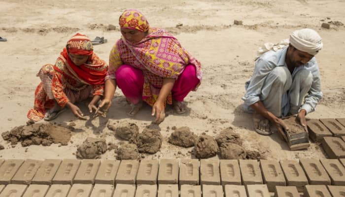 NEET Success Story: Meet Yamuna Chakradhari, Brick Kiln Worker Who Passed Exam While Working 6 Hours Per Day