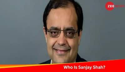 Vistex CEO Sanjay Shah Passes Away In Silver Jubilee Program Accident: Check A-Z About Him