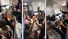 Passengers Celebrate Inauguration Of Ram Mandir On Train; Video Goes Viral