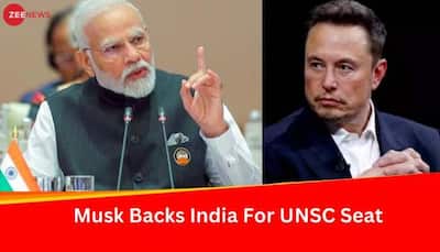 Elon Musk Terms India Not Having Permanent Seat In UNSC As 'Absurd'