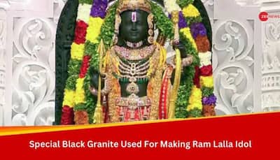 Extraordinary Black Granite Used For Making Ram Lalla Idol, How Old Is That And What's Its Speciality?