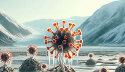 Another Pandemic On The Horizon? Experts Warn Of Zombie Viruses In The Arctic