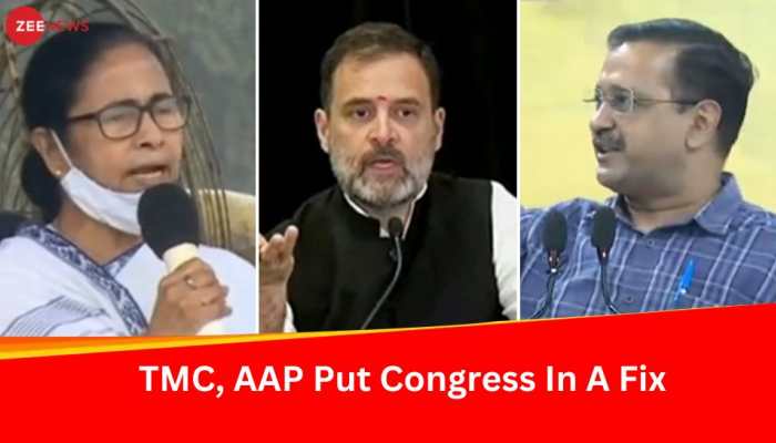 Beginning Of Disintegration Of INDIA Bloc? AAP, TMC Decide To Go Solo; Congress Sends Peace Message