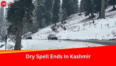 Spectacular Snowfall Transforms Kashmir: Tourists Rejoice As Nature Blankets Valley in White Splendor