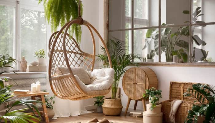 Biophilic Interior Design: Bringing Nature Indoors For A Calm And Tranquil Home- Tips &amp; Tricks