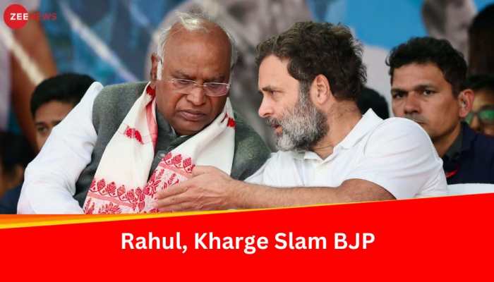 Chandigarh Mayoral Poll Result: How Rahul Gandhi, Mallkarjun Kharge Reacted To BJP&#039;s Win