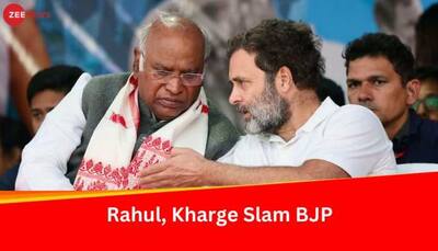 Chandigarh Mayoral Poll Result: How Rahul Gandhi, Mallkarjun Kharge Reacted To BJP's Win