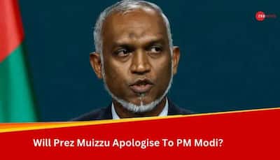 'Apologise To PM Modi, People Of India': Maldives Opposition Leader To President Mohamed Muizzu