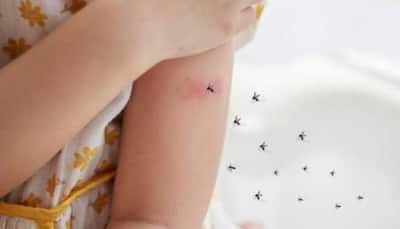 Parenting Tips: 7 Essential Tips To Protect Your Toddler From Mosquitoes