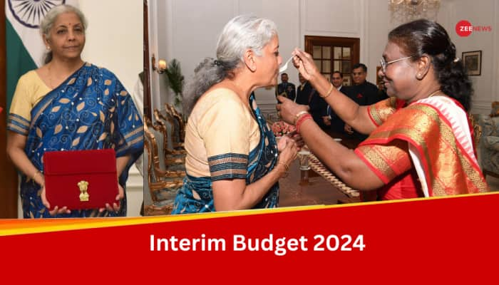 From Bahi To Dahi, Key Moments From Nirmala Sitharaman's Interim Budget