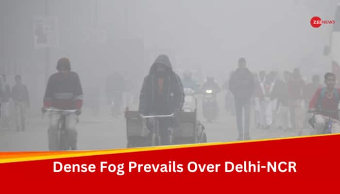 Weather Update: Dense Fog Envelops Delhi-NCR, IMD Predicts Rainfall, Check Full Forecast