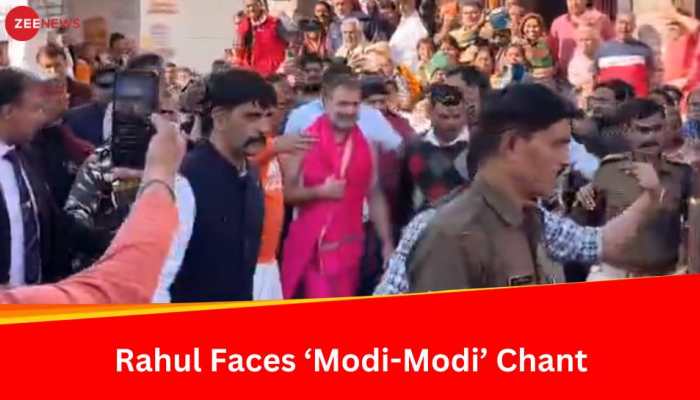 Watch: Rahul Gandhi Visits Baidyanath Dham In Deoghar Amid &#039;Modi-Modi&#039; Chant