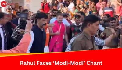 Watch: Rahul Gandhi Visits Baidyanath Dham In Deoghar Amid 'Modi-Modi' Chant