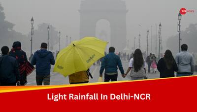 Weather Update: IMD Predicts Fresh Rainfall, Fog Blankets Over Delhi, Punjab And Rajasthan