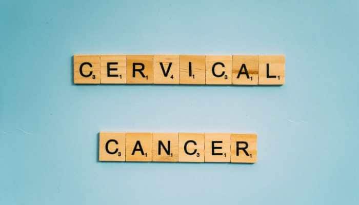 World Cancer Day 2024: What Is Cervical Cancer? Expert Explains Early Signs, Symptoms, And Precautions To Take 