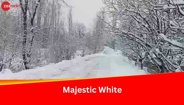 Kashmir Blanketed In Majestic Snowfall: Disruptions, Delight, And Tourism Revival