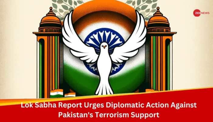 Lok Sabha Report Urges Diplomatic Action Against Pakistan&#039;s Terrorism Support