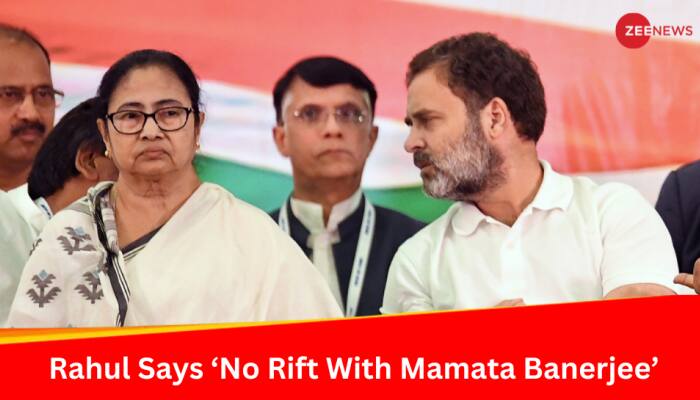 'Mamata Ji Part Of...': Rahul Gandhi Denies Rift In INDIA Alliance, Claims Seat-Sharing Talks On