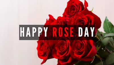 Rose Day 2024: Blooming History, Significance And Traditions Of The Day 1 Of Valentine's Week