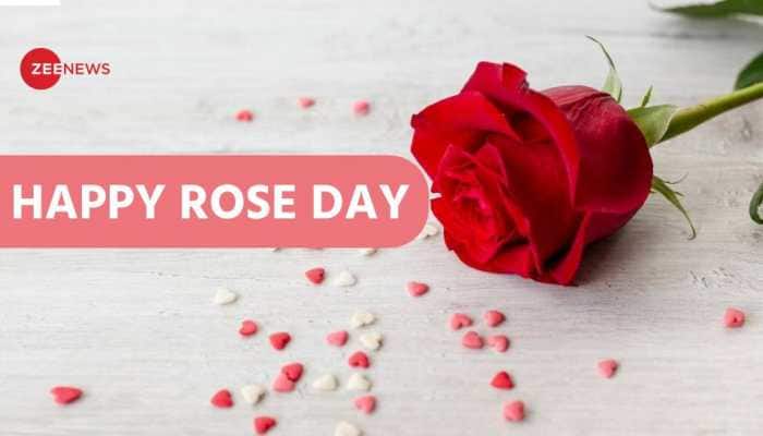 Happy Rose Day: Heartfelt Messages To Share Today As Valentine&#039;s Week Begins