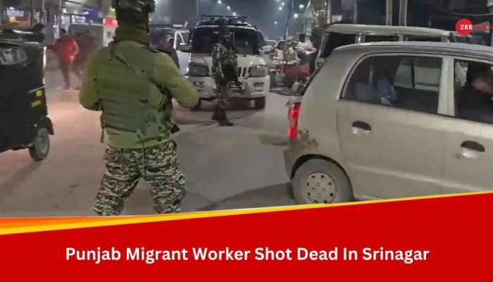 Migrant Worker From Punjab's Amritsar Shot Dead By Terrorists In J&amp;K's Srinagar; Search Operation Begins 