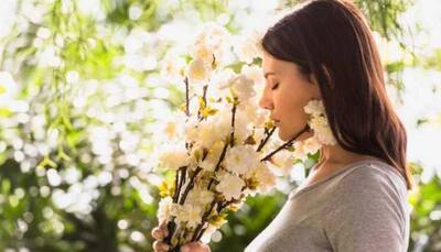 Power Of Smell: Odours Might Prompt Certain Brain Cells To Make Decisions, Says Research