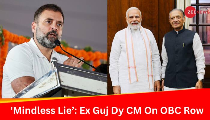 'Cooked Up Mindless Lie': BJP MP Tears Into Rahul Over Caste Jibe On PM Modi