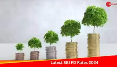 Latest SBI FD Rates 2024: How Much Return Will You Get From Fixed Deposit? Check Here