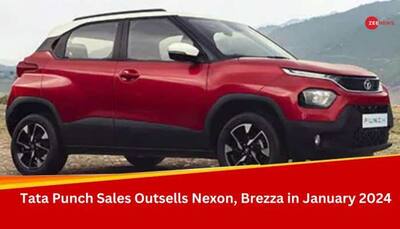 Tata Punch Is Best-Selling SUV In India, Outsells Nexon & Brezza In Jan 2024