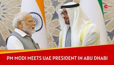 'Shows Your Love For India': PM Modi Thanks UAE President For BAPS Temple