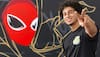 Local Streets To International Countries, Mooz Graffiti's Animated Murals Go Global