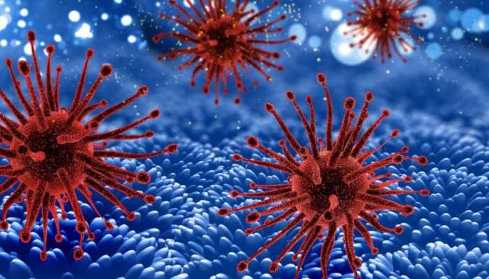 What Is Alaskapox Virus And How Fatal Is It: Symptoms, Ways Of Transmission And More