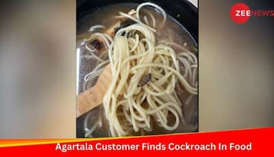 Agartala Customer Finds Cockroach In Chicken Ordered Through Zomato; Company Responds