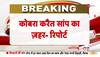 fir on elvish yadav