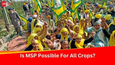 Farmers' Protest: Why Agri Unions' MSP Demand Could Prove To Be 'Anti-Farmer'?
