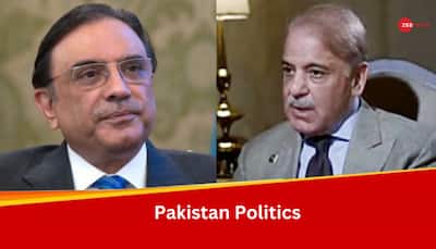  Asif Ali Zardari, Shehbaz Sharif Finalized Terms To Form Government In Pakistan, Claims PML-N Leader