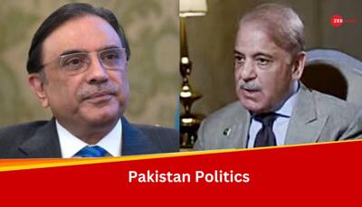  Asif Ali Zardari, Shehbaz Sharif Finalized Terms To Form Government In Pakistan, Claims PML-N Leader