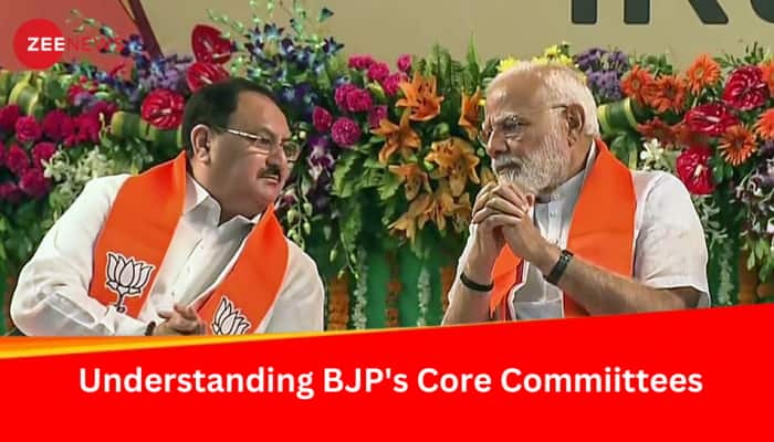 BJP&#039;s National Executive Vs Parliamentary Board: Understanding The Work Culture Of India&#039;s Largest Political Party 