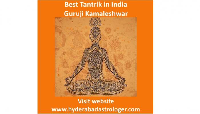 Famous Astrologer And Best Tantrik In India Guruji Kamaleshwar Research About Goddess Kali