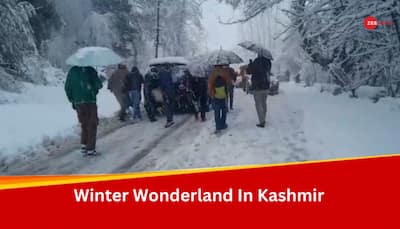 Heavy Snowfall Halts Life In Jammu And Kashmir, Delights Tourists
