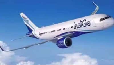 Watch: Mid-Air Scare For Passengers As Delhi-Srinagar Indigo Flight Faces Severe Turbulence