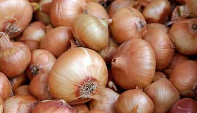 Onion Export Ban To Continue Till Mar 31: Govt 